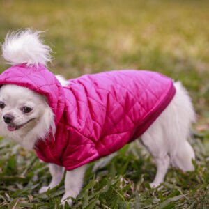Jaqueta Pink Glam