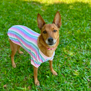 Camiseta Candy Cotton