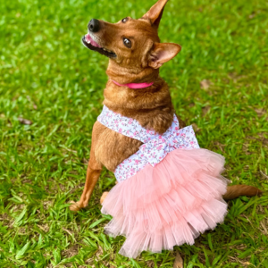 Vestido Lady