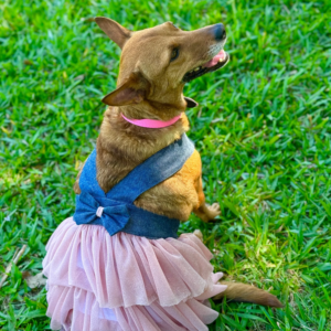 Vestido Denim Lady