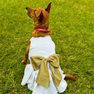 Vestido Réveillon