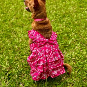 Vestido Grace Pink