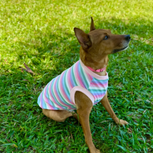 Regata Candy Cotton