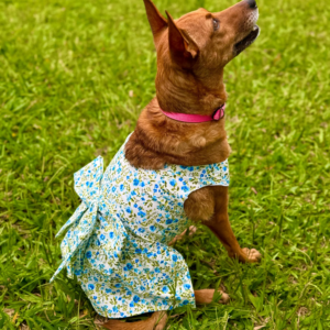 Vestido Serenity