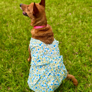 Vestido Serenity