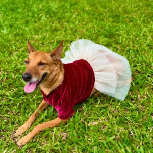 Vestido Christmas Deluxe