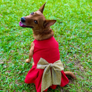 Vestido Christmas Classic