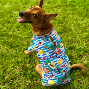 Camisa Summer Vibes