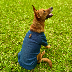 Camisa Denim