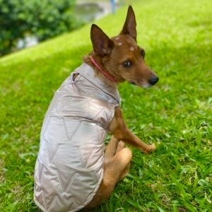 Colete Spacedog Rose Gold
