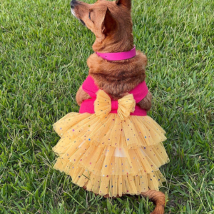 Vestido Euforia