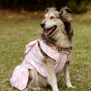 Vestido Urban Bow