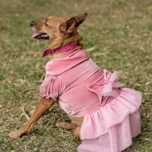 Vestido Enchanted