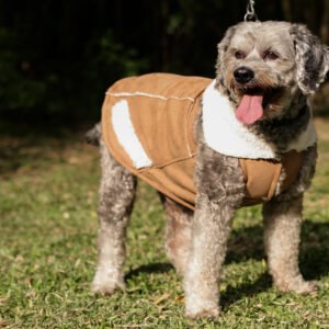 Colete Velvet Bear