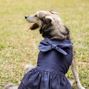 Vestido Denim Bow